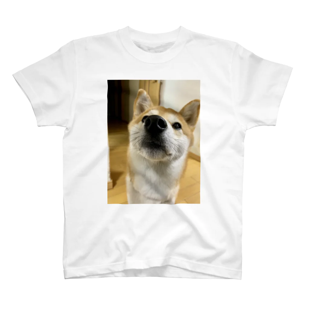 笛ガムの近犬 スタンダードTシャツ