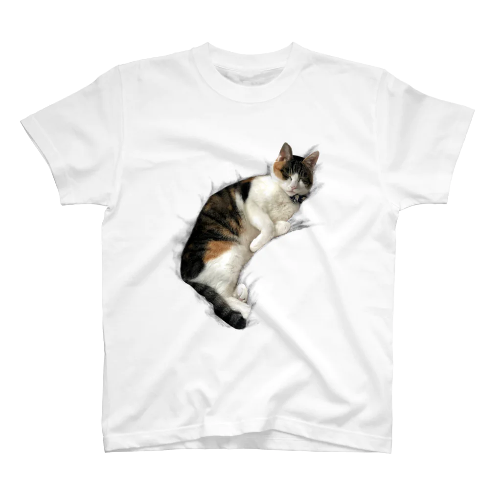 とある三匹の猫のねむる猫 Regular Fit T-Shirt
