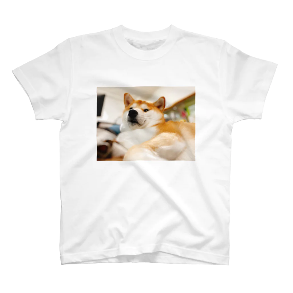 笛ガムのむっちり犬 Regular Fit T-Shirt