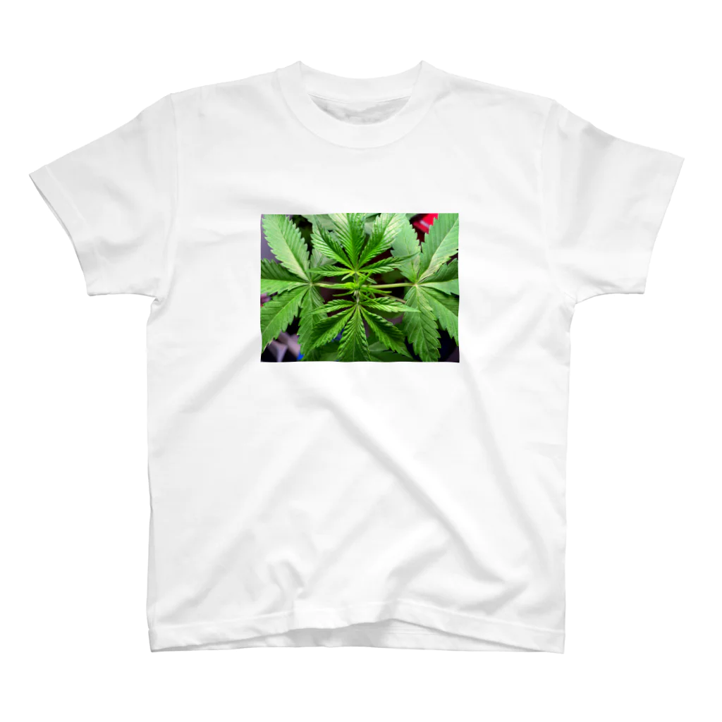 焚麻🇨🇦大麻起業家を目指すパパ大学生のテスト Regular Fit T-Shirt