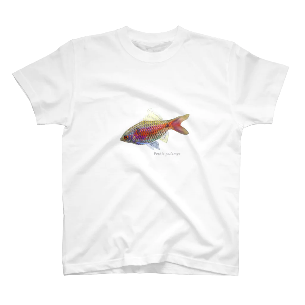 応魚のオデッサバルブ３ スタンダードTシャツ