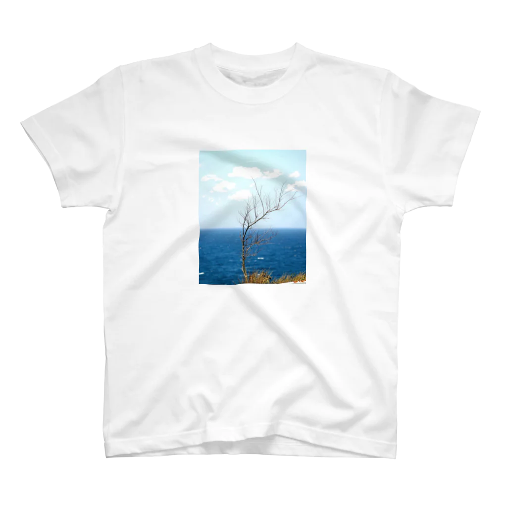 callinglilyの岬 スタンダードTシャツ