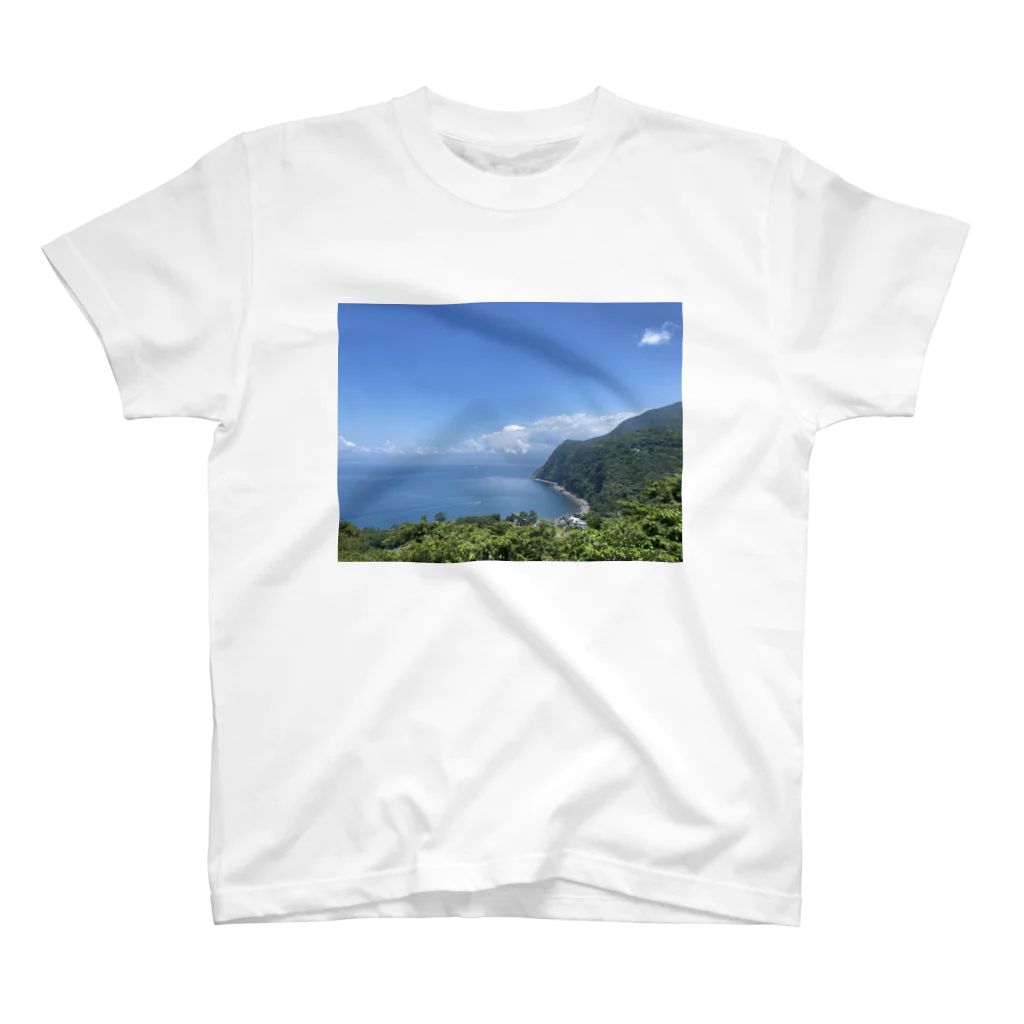 たーぬんの海岸の風景 スタンダードTシャツ