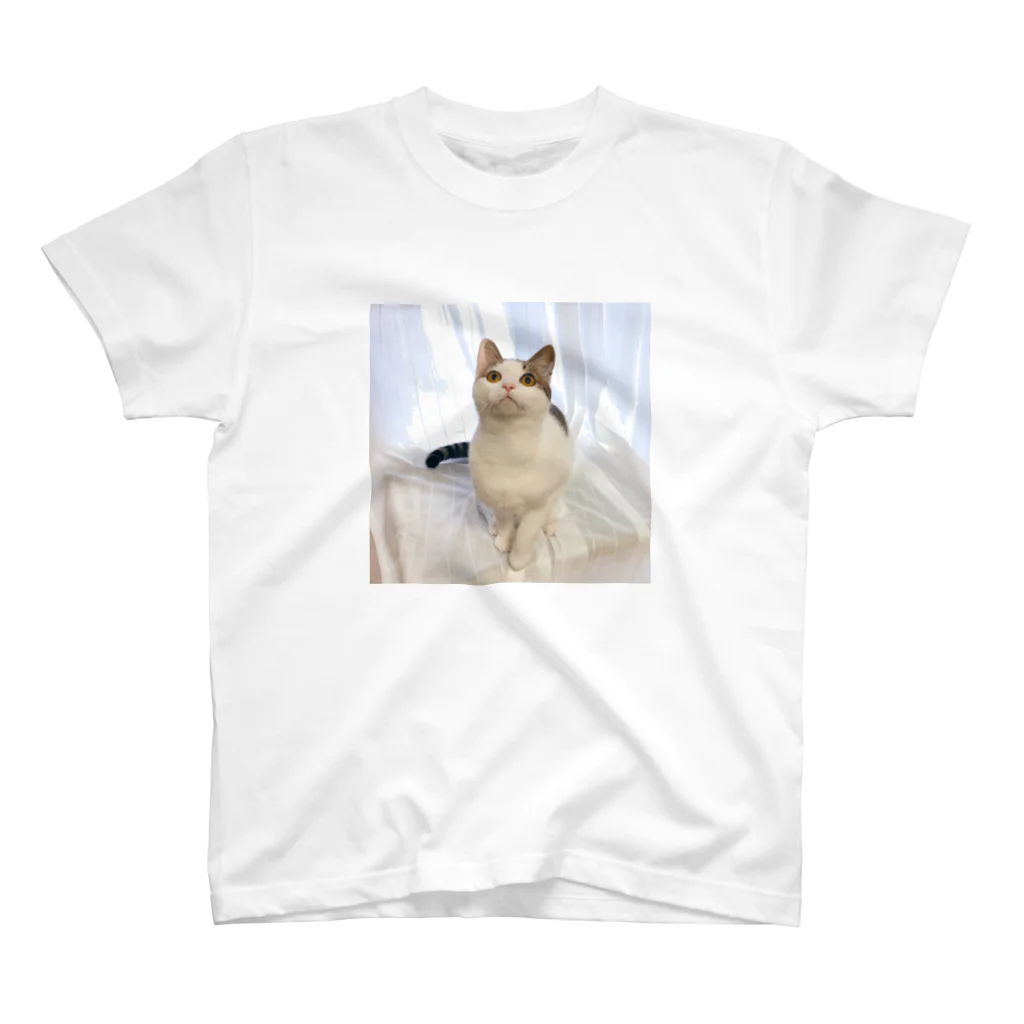 飴色の子猫のテオ スタンダードTシャツ