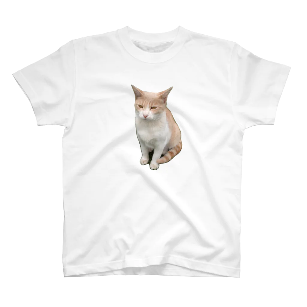 やぎ座A型の家の猫 Regular Fit T-Shirt