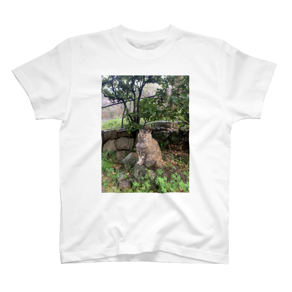 mtmoの尾道の猫ちゃん Regular Fit T-Shirt