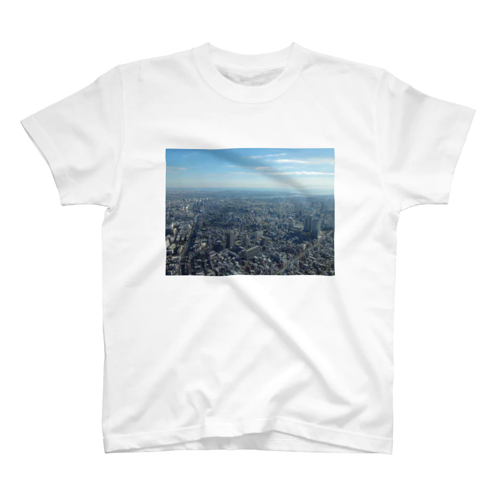 空飛ぶモモンガの東京にて スタンダードTシャツ