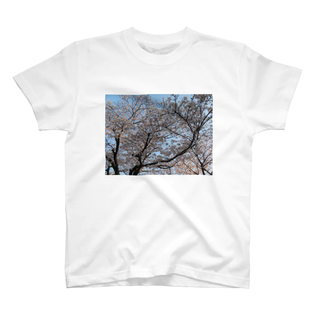 愛自然写真の桜と空 Regular Fit T-Shirt