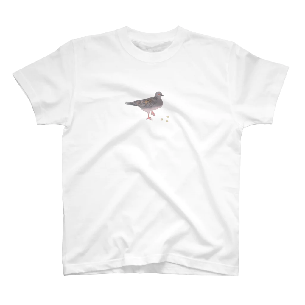 ヤマノナガメのハトと豆 Regular Fit T-Shirt