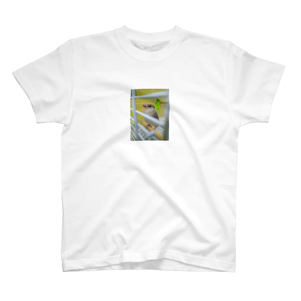 フラミンゴノリコののびちゃん① Regular Fit T-Shirt