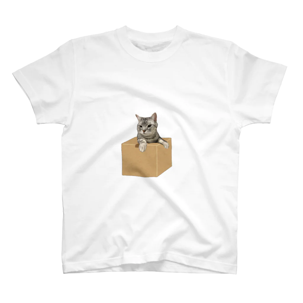 末っ子じゃない甘えん坊猫の段ボールon猫 スタンダードTシャツ