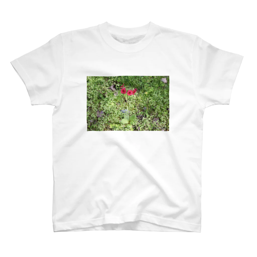 Aiko Nakanoの桜草 Regular Fit T-Shirt