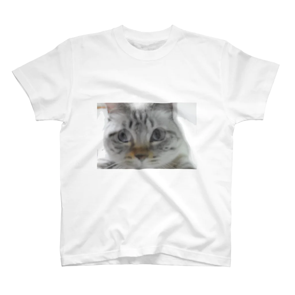 (羊虎魂)の猫・ぶれぶれ スタンダードTシャツ