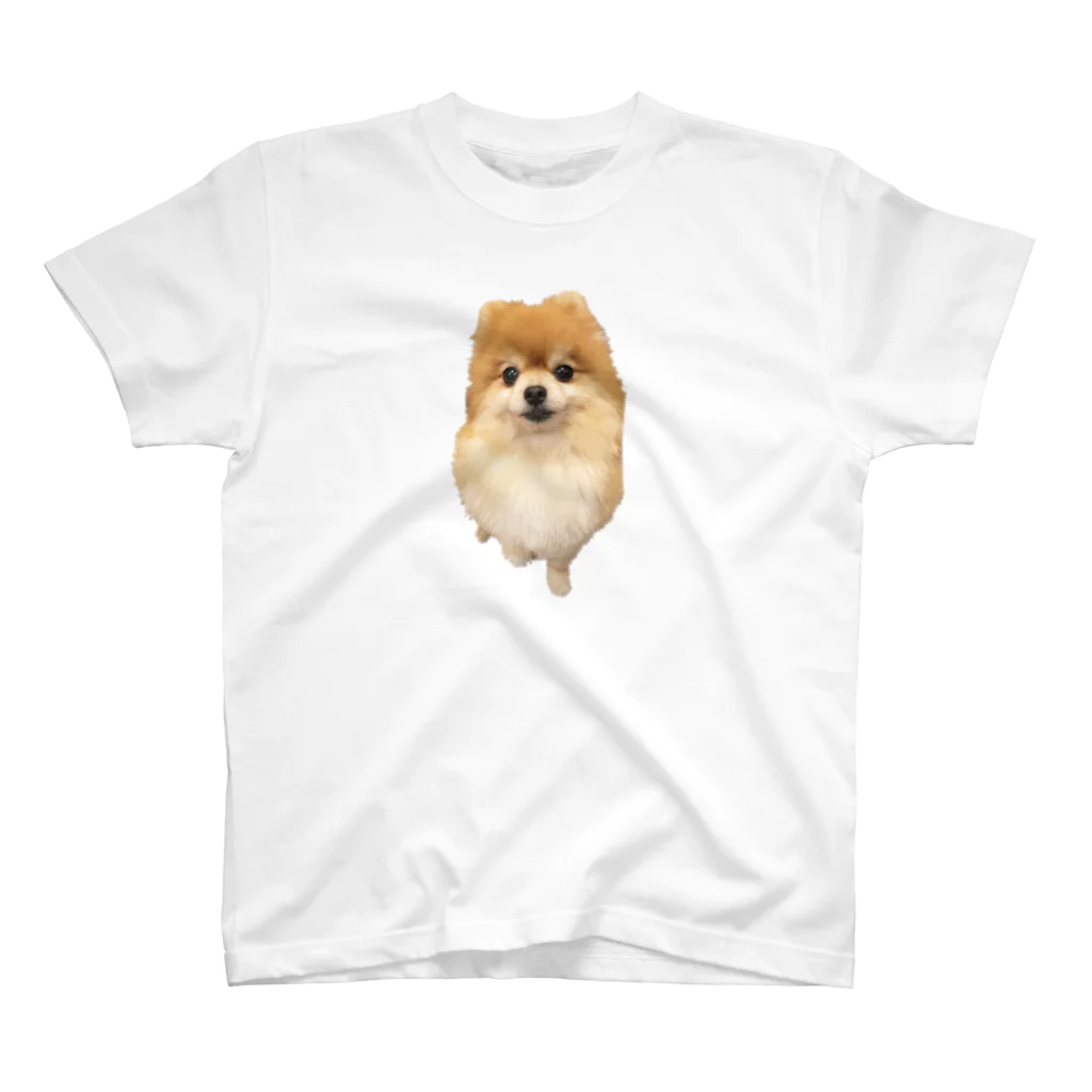 みゆきのちっちゃくお手するもーちゃん Regular Fit T-Shirt