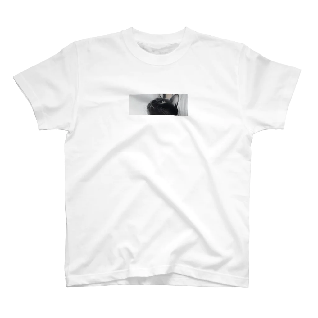 MOYACHIの空を見るくま Regular Fit T-Shirt