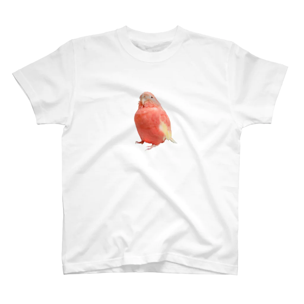 アキクサインコのチャムのアキクサインコのチャム（実写うふ顔） Regular Fit T-Shirt