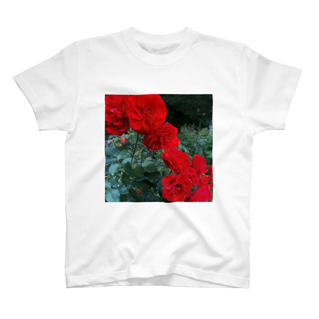 その日暮らし。の薔薇のお花 深紅 スタンダードTシャツ