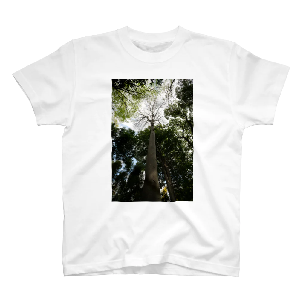 treeseekの見上げればTシャツ スタンダードTシャツ
