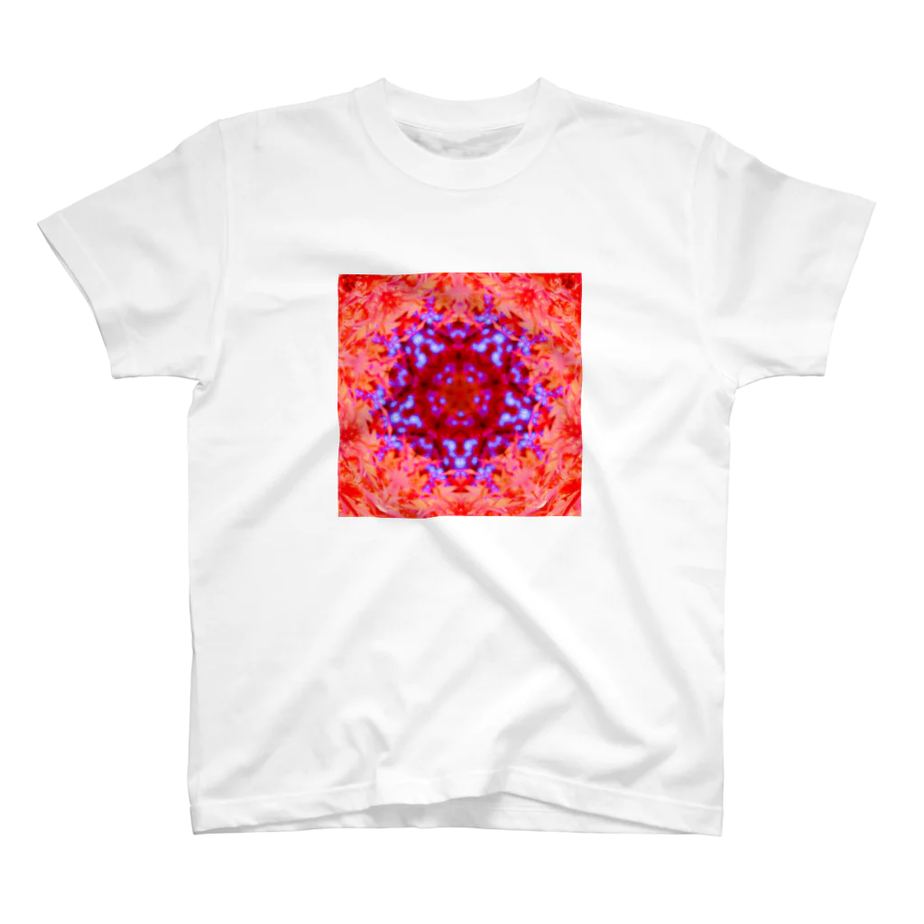 Flower kaleidoscopeの紅葉万華鏡 Regular Fit T-Shirt