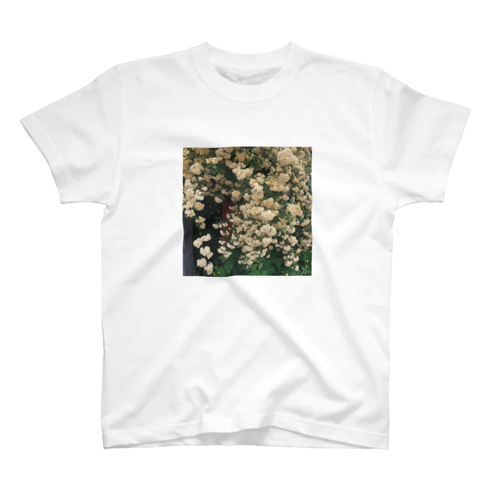 やすらかの木香薔薇 Regular Fit T-Shirt