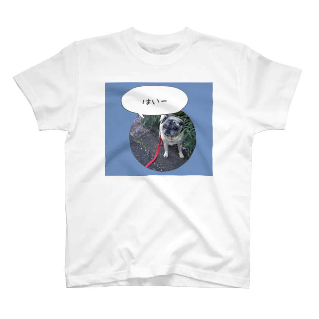 ！(bikkuri)の愛犬てぃだ　「はいー」 スタンダードTシャツ