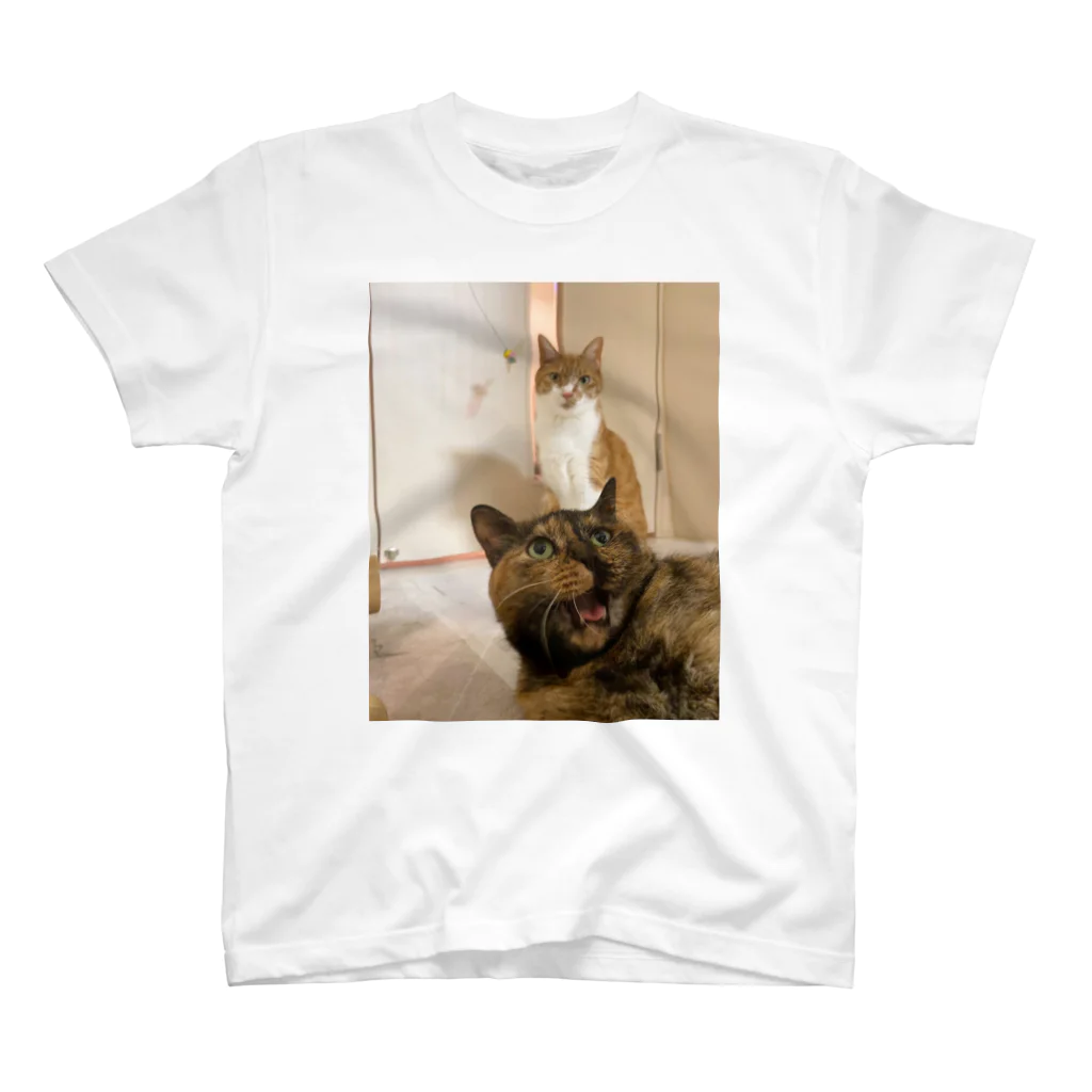愛猫のグッズが欲しいのバレンシアガよりうちの猫では？ Regular Fit T-Shirt