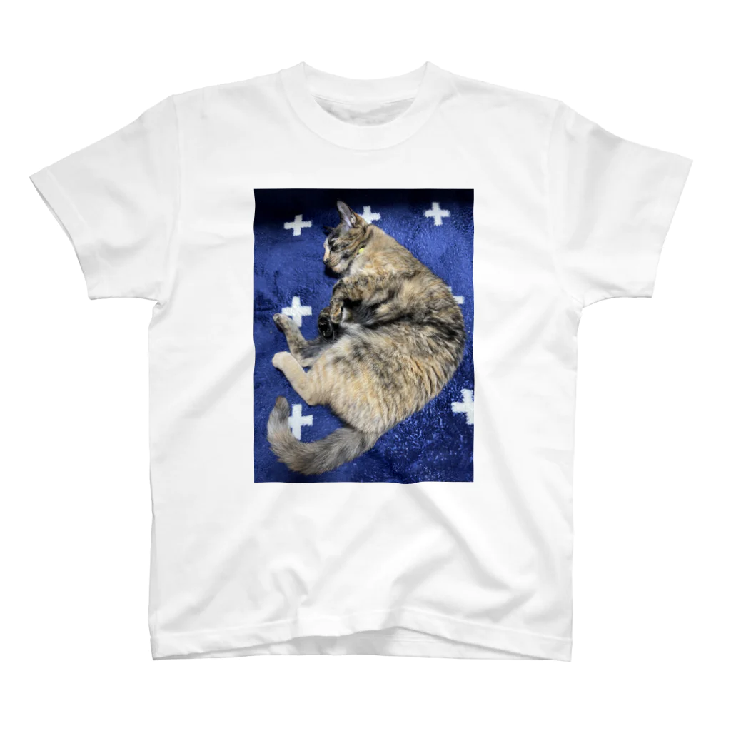 おぬしちゃんの地上に落ちたサビ猫 スタンダードTシャツ