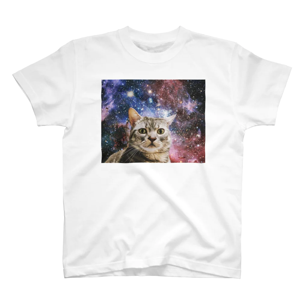 ふじもの宇宙梵天丸 スタンダードTシャツ