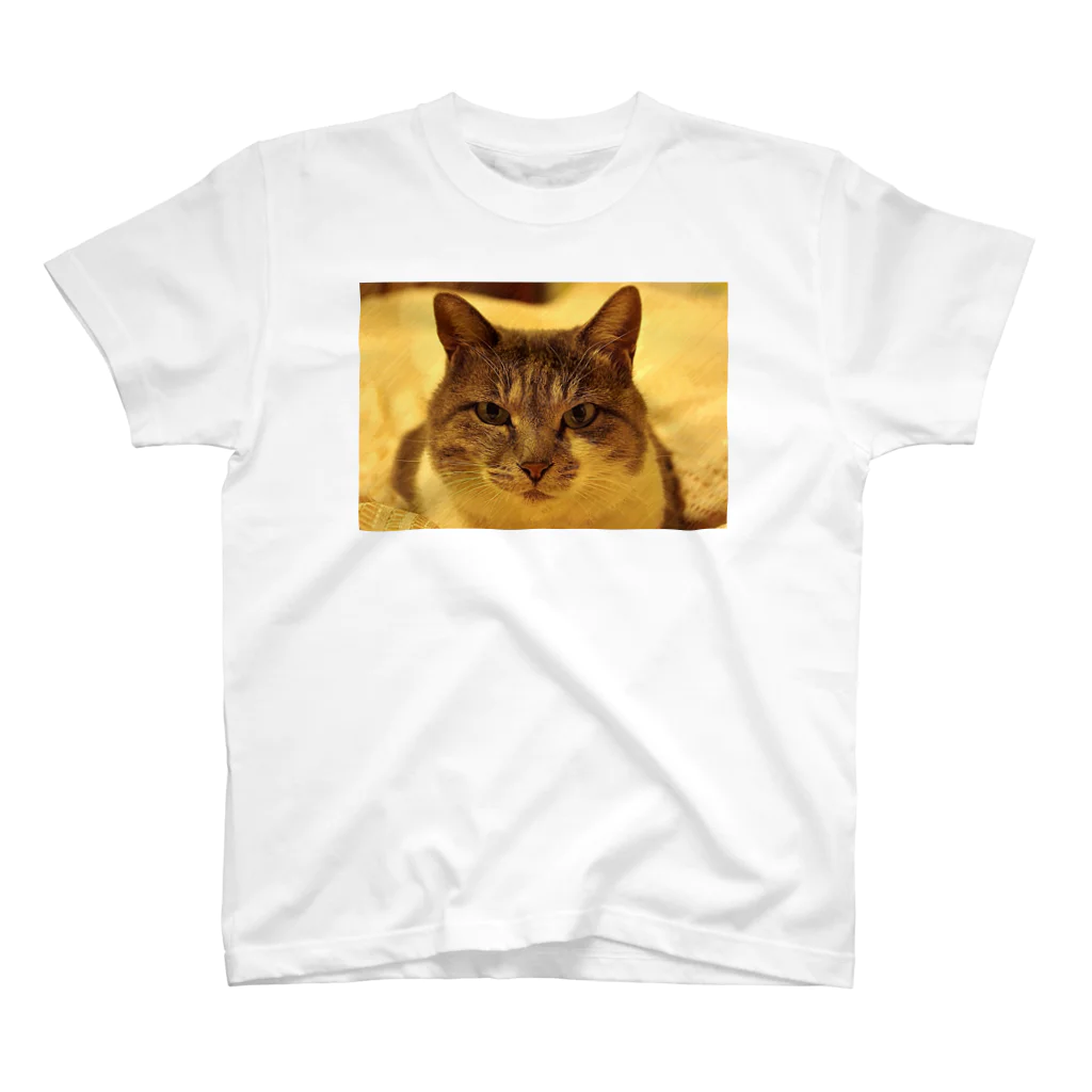 upafishのCat スクラッチフォト風 Regular Fit T-Shirt