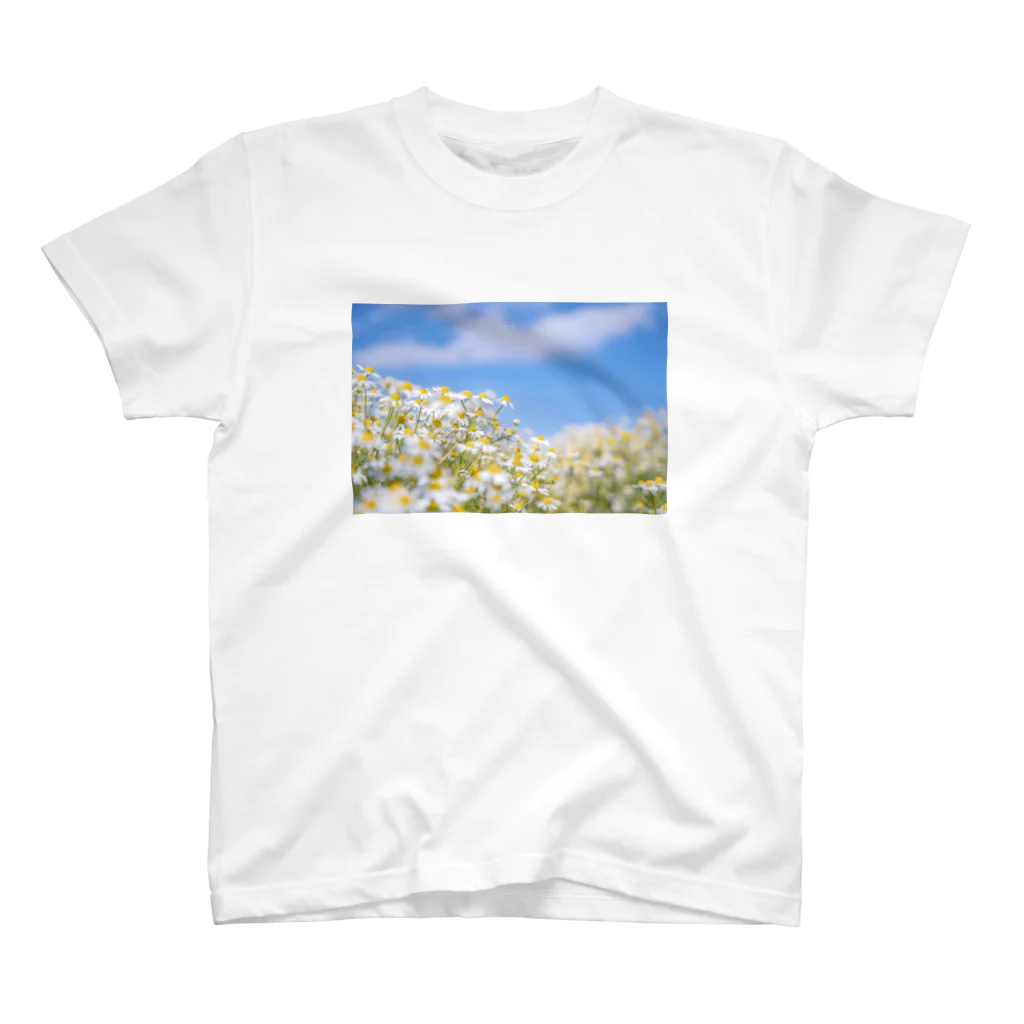 takashikickのカモミールと青空 スタンダードTシャツ