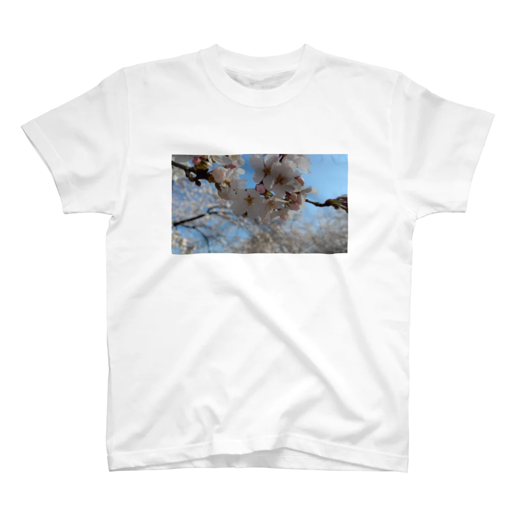 ももたんの桜 スタンダードTシャツ