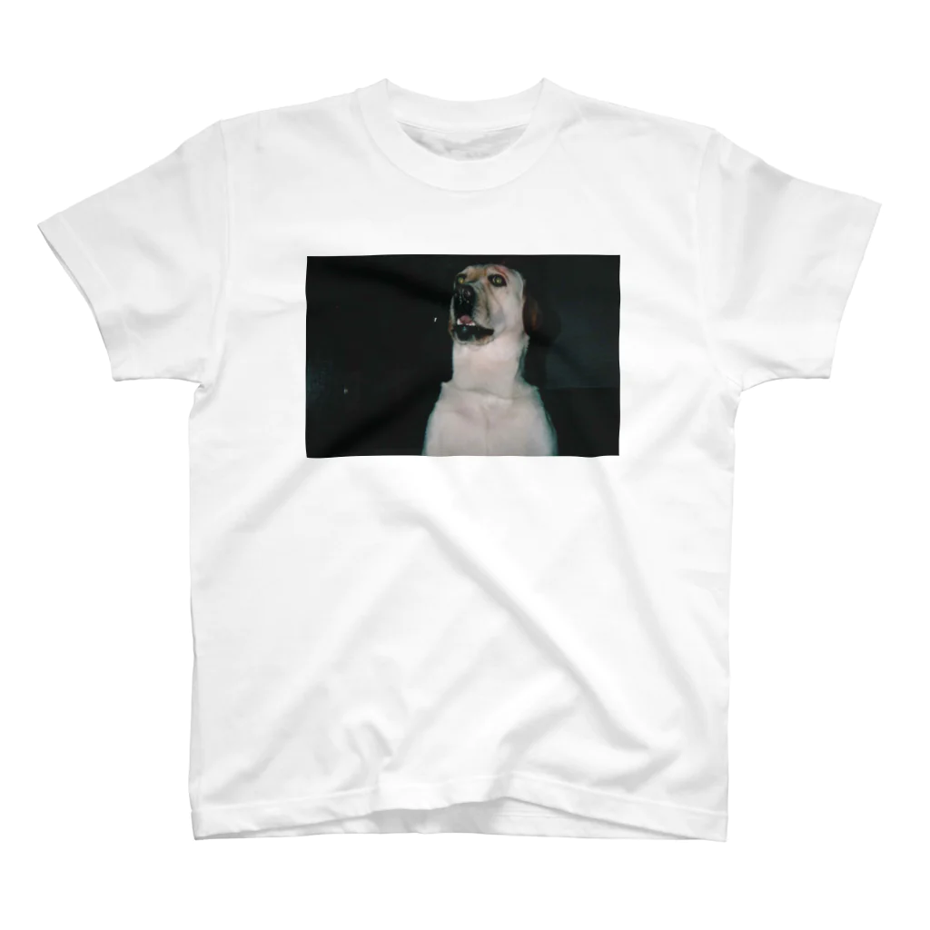 onigirigiriの犬 スタンダードTシャツ