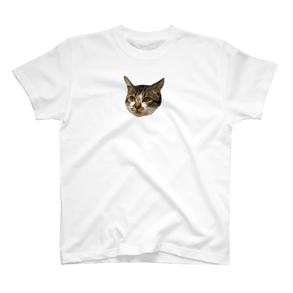 三波企画(minami kikaku)の猫 スタンダードTシャツ