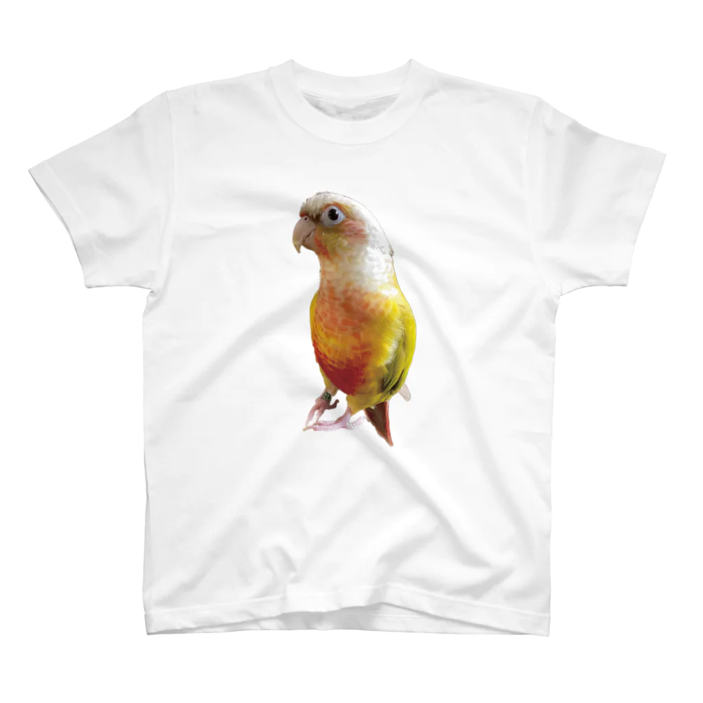 キム子商店のクイル_01（ウロコインコ） Regular Fit T-Shirt