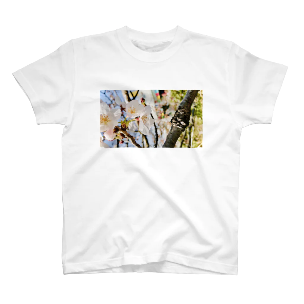 ちとの桜と枝 Regular Fit T-Shirt