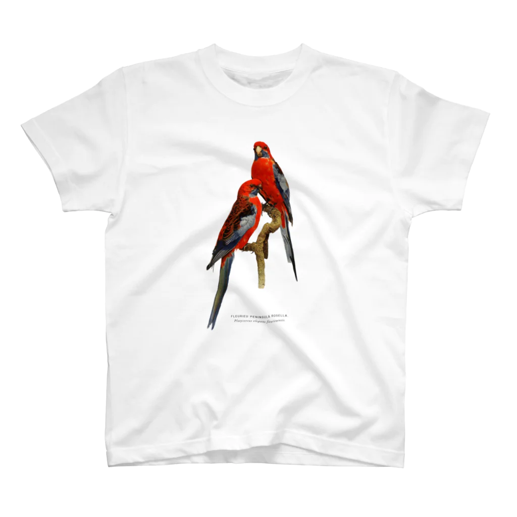 mincora.のアカクサインコ Platycercus elegans Regular Fit T-Shirt