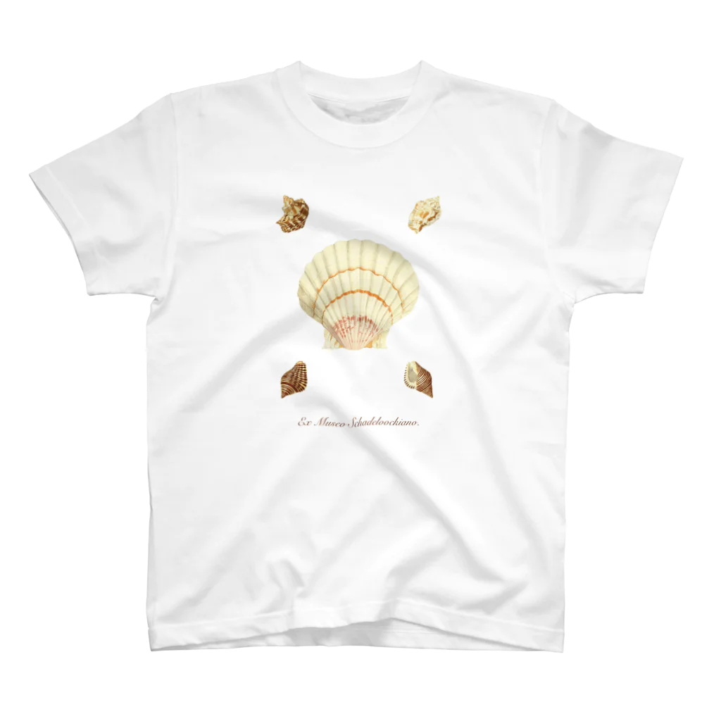 mincora.の貝がら seashells スタンダードTシャツ