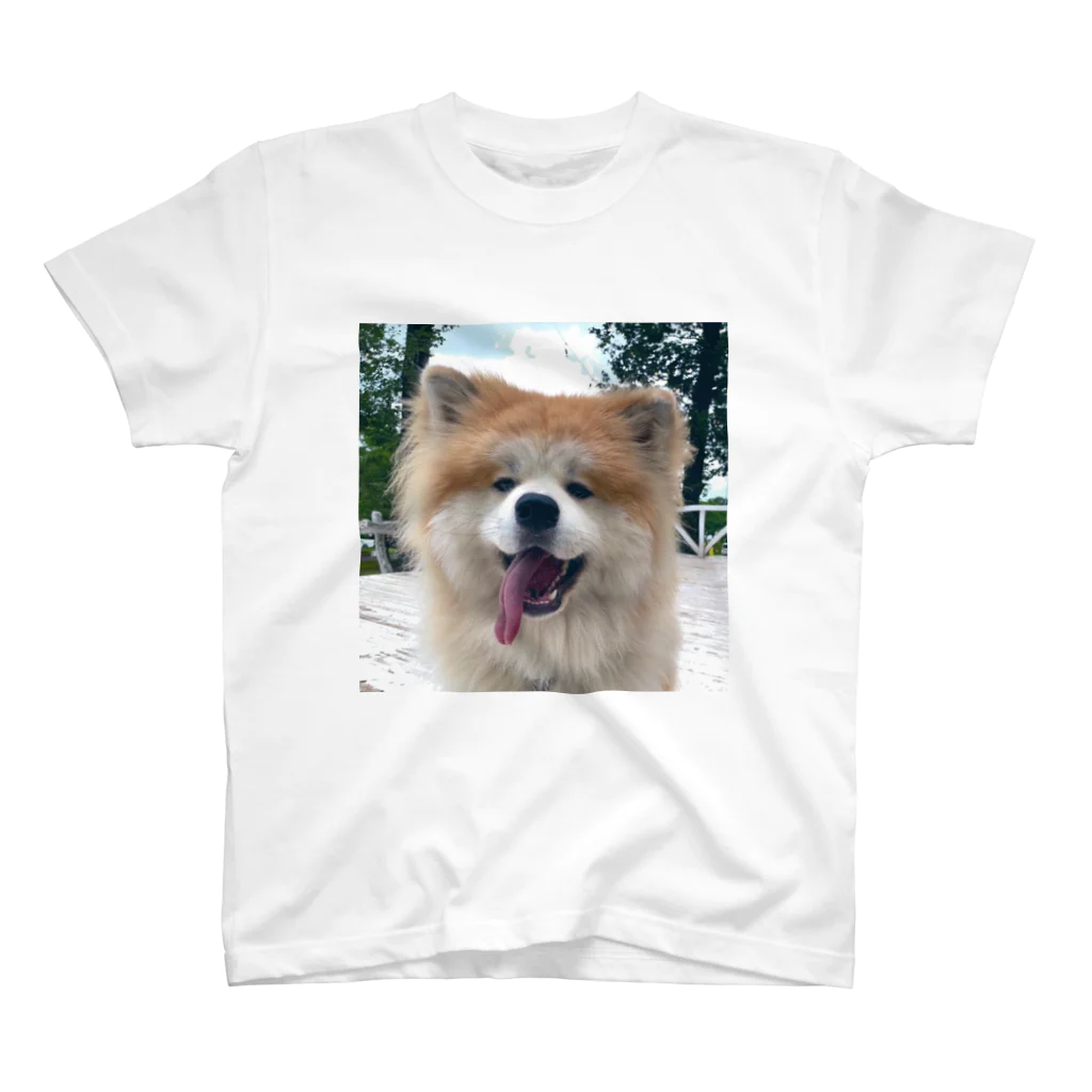 mofuakitaのBIG SMILE AKITA スタンダードTシャツ