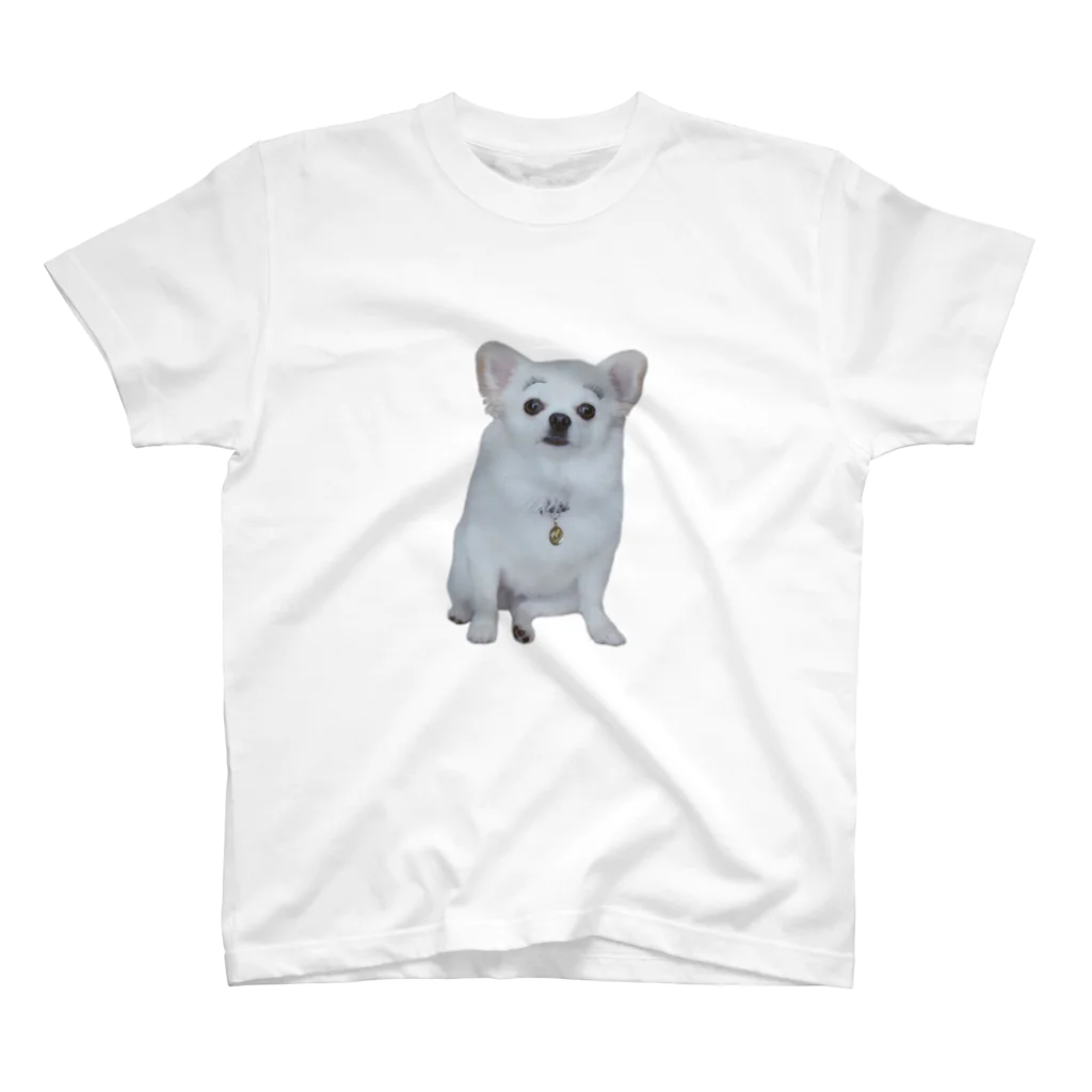 しまのまゆげこむぎこ Regular Fit T-Shirt