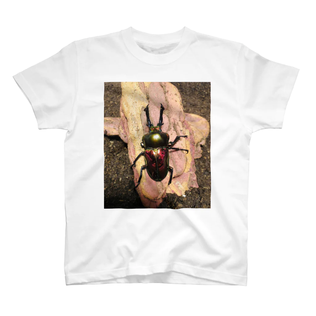anemoneのクワガタ スタンダードTシャツ