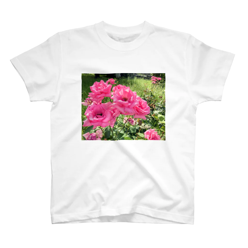 mii__0003のお花T スタンダードTシャツ