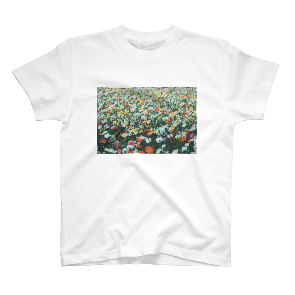 MoNeのPOPPY ： FILM COLOR スタンダードTシャツ