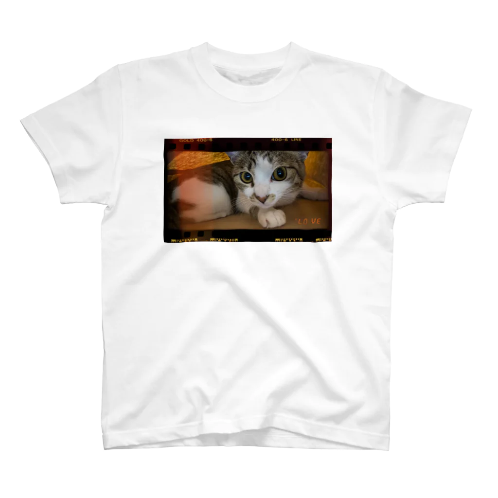 ねこねこのおすましメイちゃん Regular Fit T-Shirt