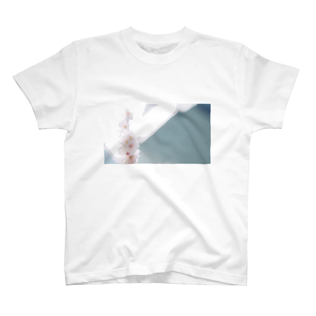 MoNeの桜 FILM COLOR スタンダードTシャツ