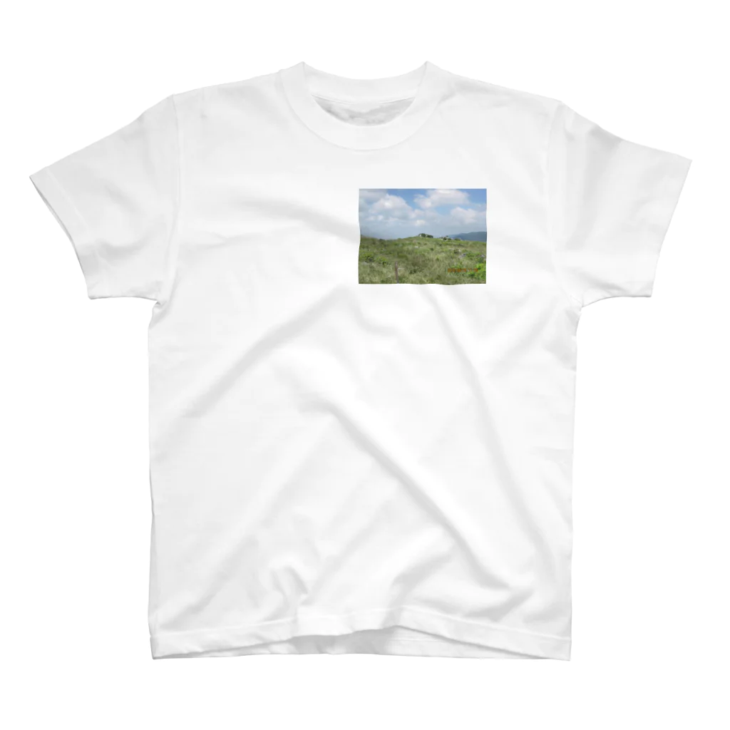 チャレンジャーニシヤマショップの四国カルストの風景 スタンダードTシャツ