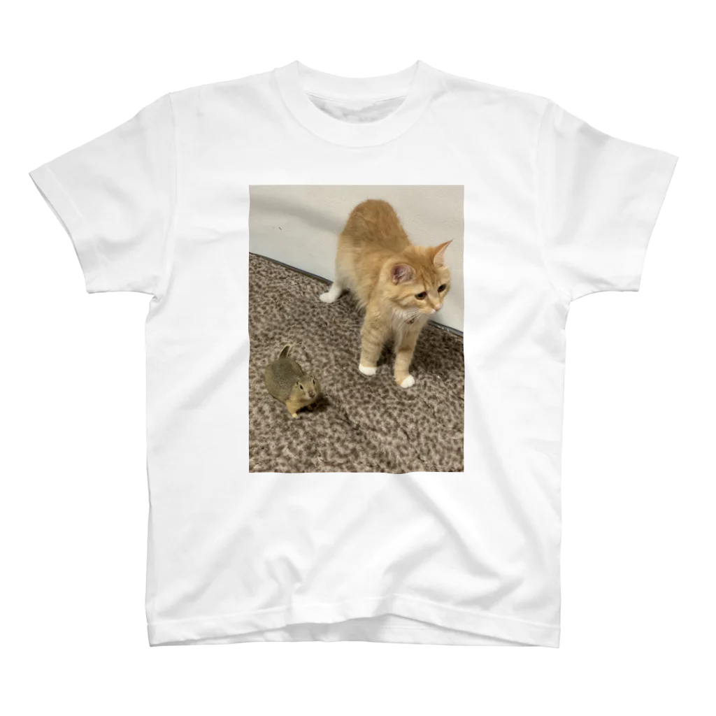 ららのメロロビン🐿🐈 スタンダードTシャツ