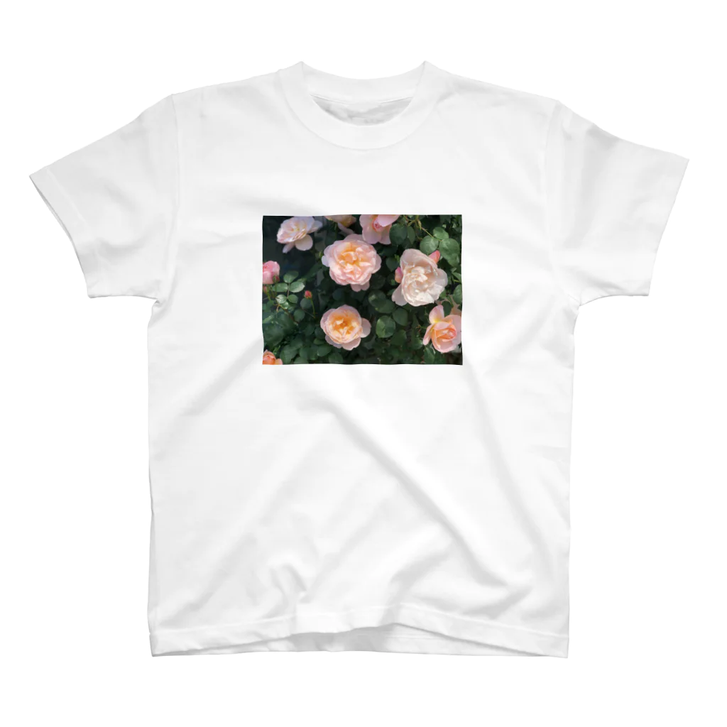 amekoamenokoのflower スタンダードTシャツ