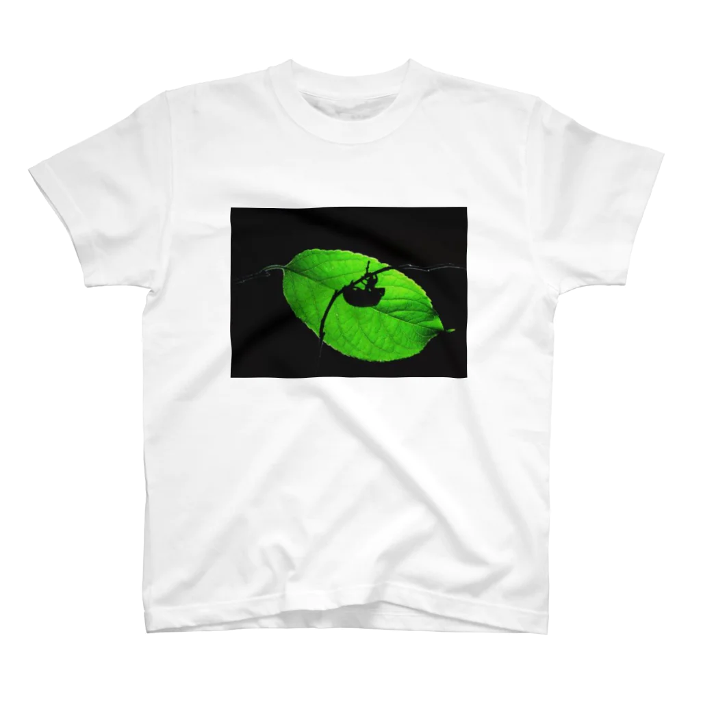 GreenTrexのセミシルエット スタンダードTシャツ