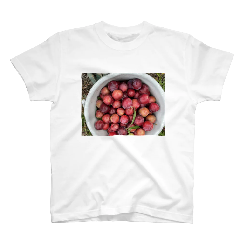 笑顔が好きの夏だ美味しい果物だ😊 スタンダードTシャツ