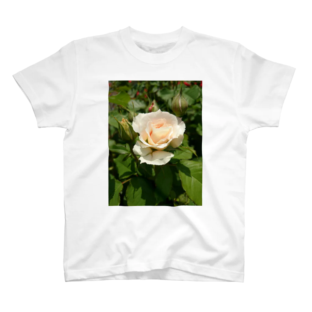 薔薇屋の薔薇Ⅰ スタンダードTシャツ